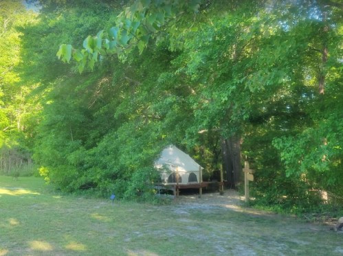 A tent nestled among lush green trees in a serene outdoor setting.