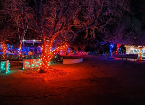 A park at night adorned with colorful holiday lights on trees and benches, creating a festive atmosphere.