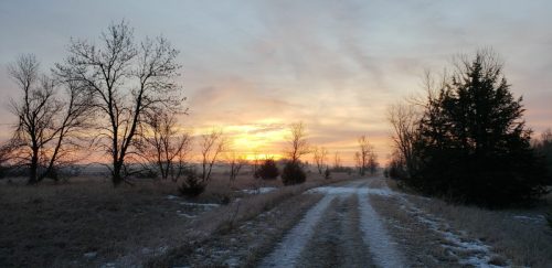 A snowy path leads through a field at sunset, framed by bare trees and a colorful sky.