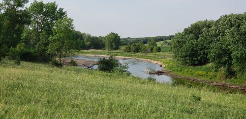 A serene river winding through lush greenery and trees under a clear sky.
