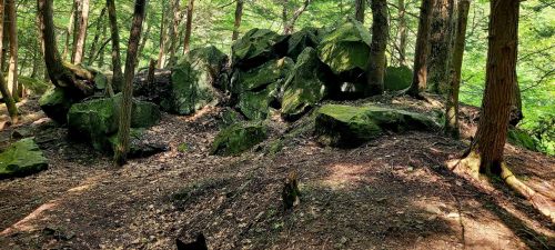 A serene forest scene with large moss-covered rocks surrounded by trees and dappled sunlight on the forest floor.