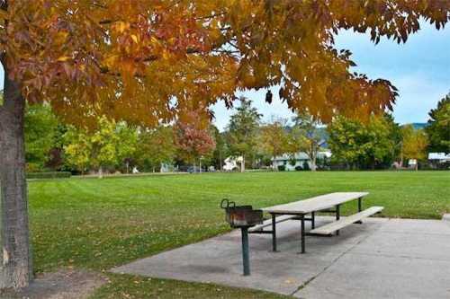 A picnic table under a tree with autumn leaves, set in a grassy park with distant trees and a cloudy sky.