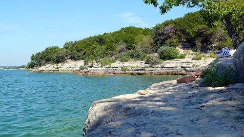 A serene lakeside view with rocky shores and lush greenery under a clear blue sky.