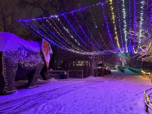 A snowy path illuminated by colorful lights, featuring a large elephant sculpture on the side.