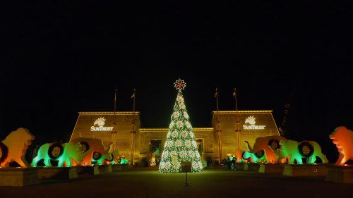 A brightly lit Christmas tree stands in front of a building, flanked by colorful lion sculptures at night.