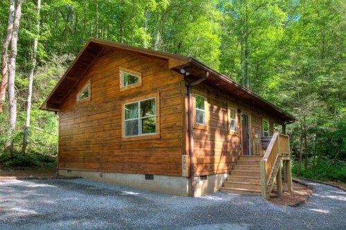A wooden cabin surrounded by lush green trees, featuring a front porch and large windows.