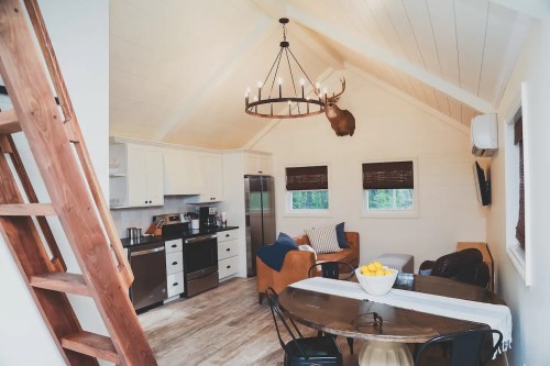 Cozy cabin interior with a kitchen, dining table, and a mounted deer head, featuring wooden accents and natural light.