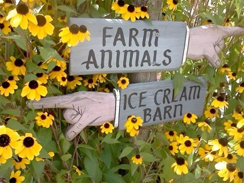 Two wooden signs with arrows pointing, labeled "Farm Animals" and "Ice Cream Barn," surrounded by yellow flowers.