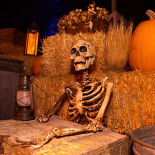 A skeleton sits on a hay bale next to a pumpkin and lanterns, creating a festive autumn scene.