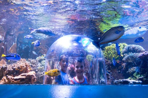 Two children smile inside a transparent dome underwater, surrounded by colorful fish and vibrant coral.