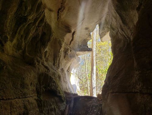 A view of a rocky cave with sunlight streaming through an opening, surrounded by trees and greenery.