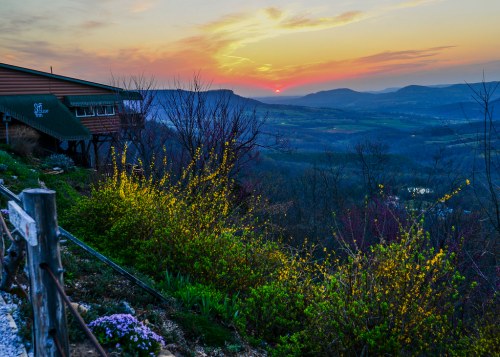 A scenic view of a sunset over rolling hills, with blooming flowers in the foreground and a rustic building nearby.
