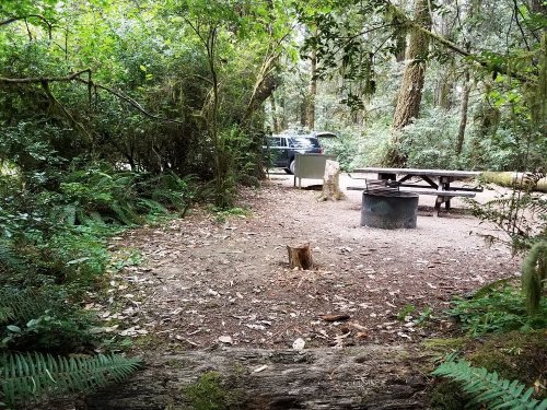 A serene campsite in a forest, featuring a picnic table, fire pit, and a parked car surrounded by lush greenery.