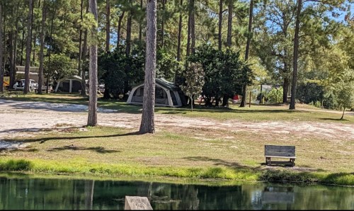 A serene campsite with tents nestled among tall trees, beside a calm pond and a wooden bench.