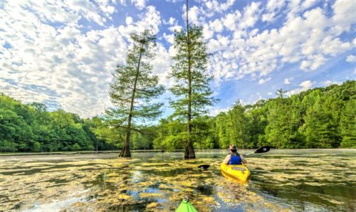 A person kayaking on a serene lake surrounded by lush trees and a blue sky with fluffy clouds.