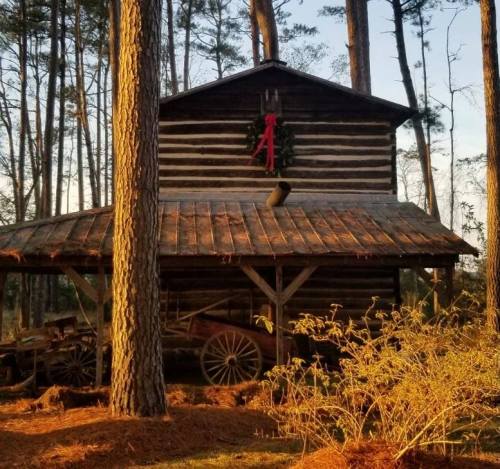 A rustic log cabin surrounded by tall trees, adorned with a festive wreath on the front.