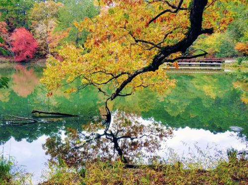 A serene lake surrounded by autumn foliage, with colorful trees reflecting on the water's surface.
