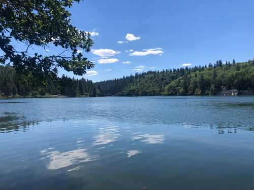 A serene lake surrounded by lush green trees under a clear blue sky with fluffy white clouds.