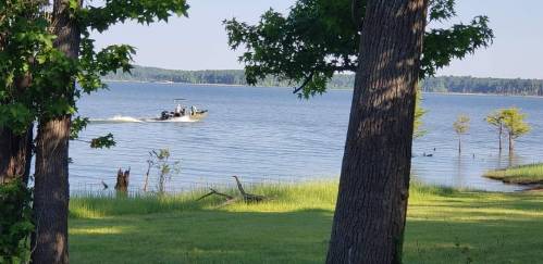 A boat glides across a calm lake, surrounded by trees and grassy shores under a clear blue sky.