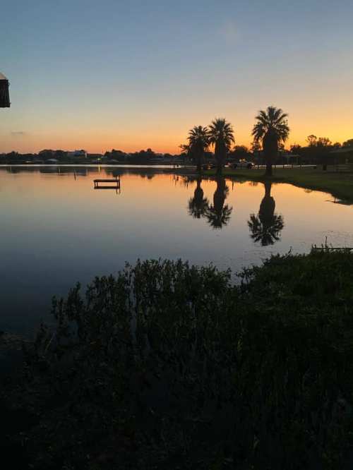 Sunset over a calm lake, with palm trees reflecting in the water and a small dock in the foreground.