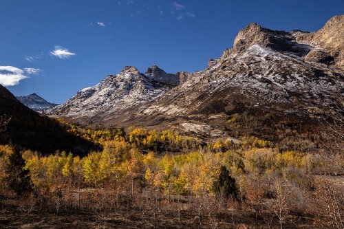 A scenic mountain landscape with snow-capped peaks and autumn foliage in vibrant yellow and orange hues.