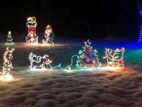 Colorful holiday lights depicting a Christmas tree, animals, and festive figures in a snowy landscape at night.