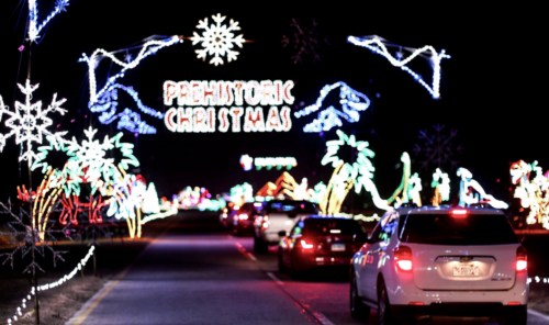 Cars lined up on a road illuminated by colorful holiday lights, featuring a "Prehistoric Christmas" display.