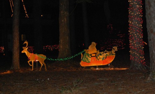 A festive scene featuring a lit reindeer pulling a sleigh with Santa, surrounded by colorful holiday lights in a dark forest.