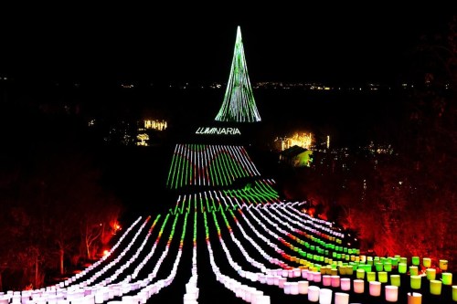 A brightly lit holiday display featuring a tall tree and colorful lights on a hillside at night.