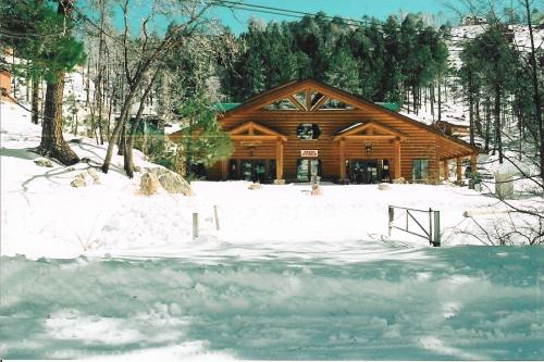 A log cabin surrounded by snow and pine trees, with a clear blue sky in the background.