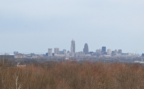 A distant view of a city skyline with tall buildings, surrounded by bare trees and a cloudy sky.