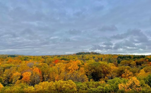 A panoramic view of a forest in autumn, showcasing vibrant orange, yellow, and green foliage under a cloudy sky.