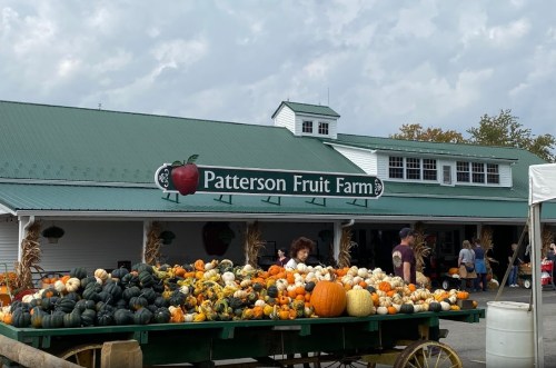 A farm stand with a variety of pumpkins and gourds in front of a building labeled "Patterson Fruit Farm."