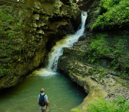 A person stands by a serene waterfall cascading into a clear pool, surrounded by lush greenery and rocky cliffs.