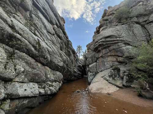 A narrow canyon with towering rock formations and a small stream running through it under a partly cloudy sky.