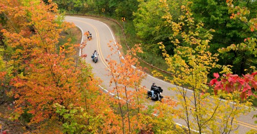 Motorcycles ride along a winding road surrounded by vibrant autumn foliage.