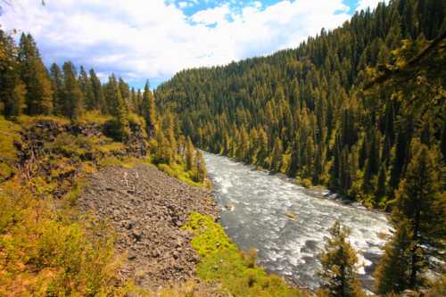 A winding river flows through a lush forested valley, surrounded by rocky terrain and tall evergreen trees.