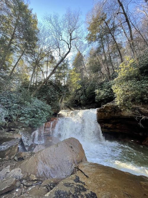 A serene waterfall cascades over rocks, surrounded by lush greenery and trees under a clear blue sky.