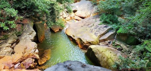 A serene river flows between large rocks, surrounded by lush greenery in a tranquil forest setting.
