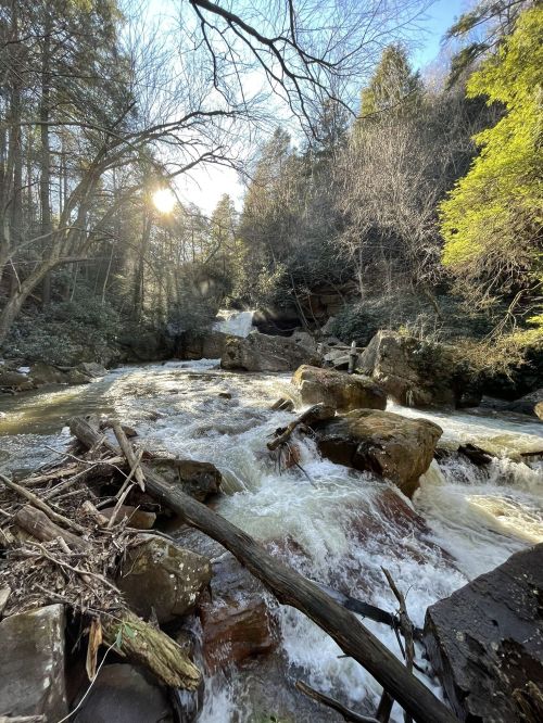 A flowing river with rocks and fallen branches, surrounded by trees and sunlight filtering through the foliage.