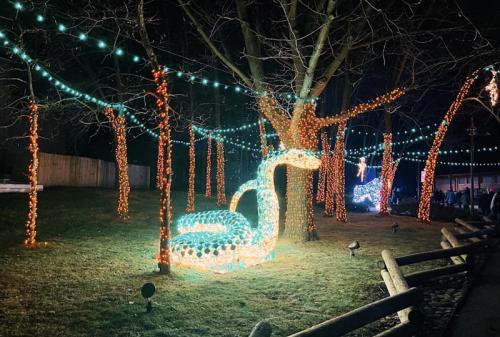 A glowing, illuminated snake sculpture surrounded by colorful lights on trees in a nighttime setting.