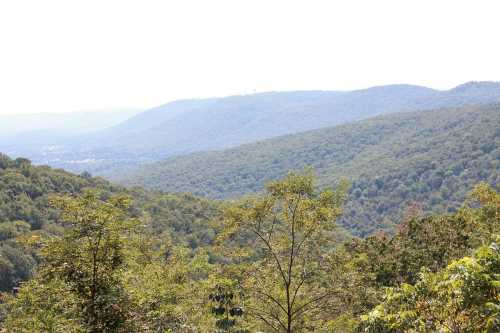 A panoramic view of rolling green hills and mountains under a bright sky, with trees in the foreground.