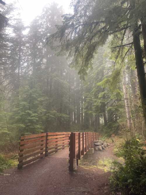 A wooden bridge leads through a misty forest, surrounded by tall green trees and a serene, tranquil atmosphere.