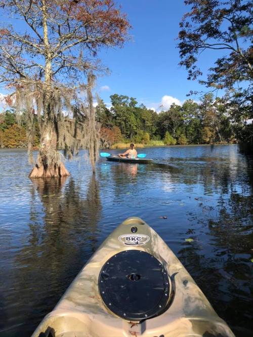 A serene lake scene with two kayakers, surrounded by trees and autumn foliage under a clear blue sky.