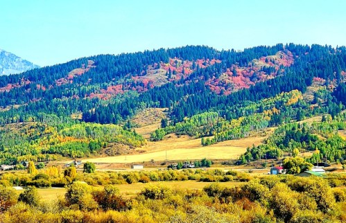 A scenic landscape featuring rolling hills with colorful autumn foliage and a clear blue sky.