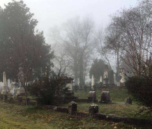A foggy cemetery scene with gravestones, trees, and a mysterious atmosphere.