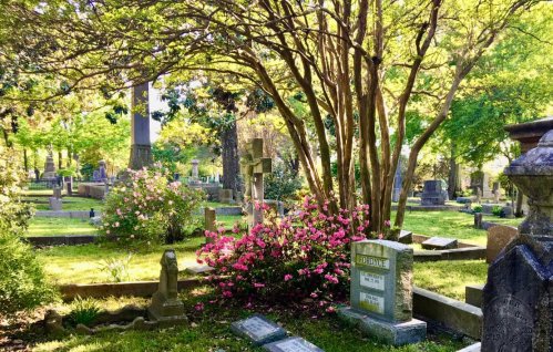 A serene cemetery scene with lush greenery, blooming flowers, and various gravestones under dappled sunlight.