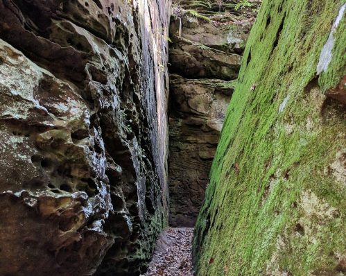 Narrow passage between moss-covered rock walls in a forested area, with fallen leaves on the ground.