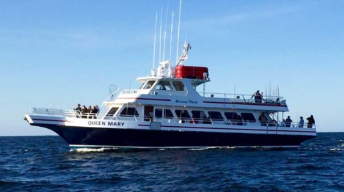 A passenger boat named "Queen Mary" sailing on calm waters with people on board enjoying the view.
