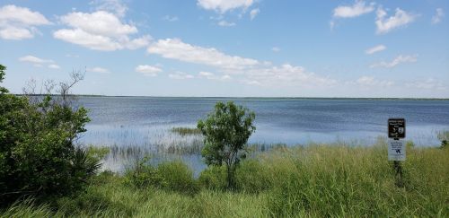 A serene lake view with lush greenery in the foreground and a clear blue sky dotted with clouds.